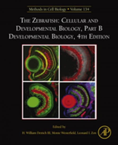 Cover of the book The Zebrafish: Cellular and Developmental Biology, Part B Developmental Biology by H. William Detrich, III, Monte Westerfield, Leonard Zon, Elsevier Science