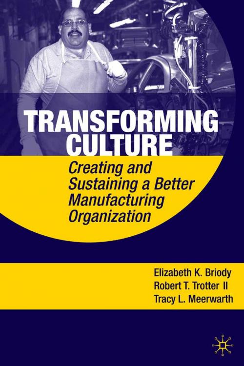 Cover of the book Transforming Culture by E. Briody, R. Trotter, T. Meerwarth, Palgrave Macmillan US