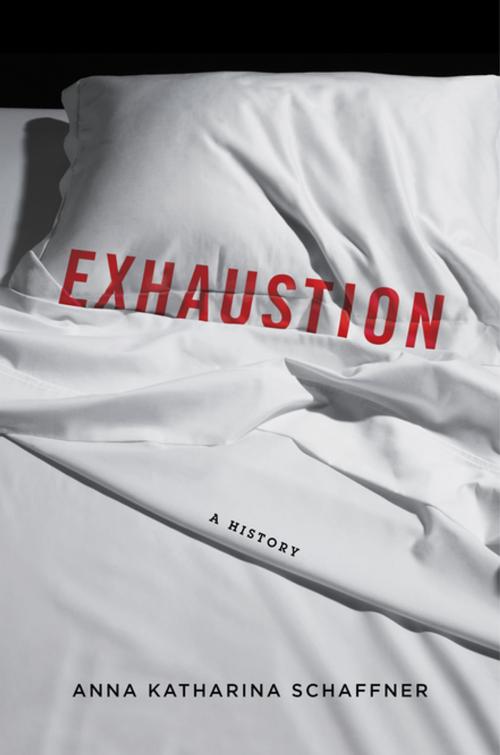 Cover of the book Exhaustion by Anna K. Schaffner, Columbia University Press