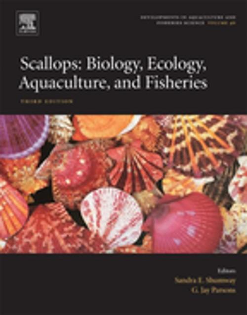 Cover of the book Scallops by , Elsevier Science