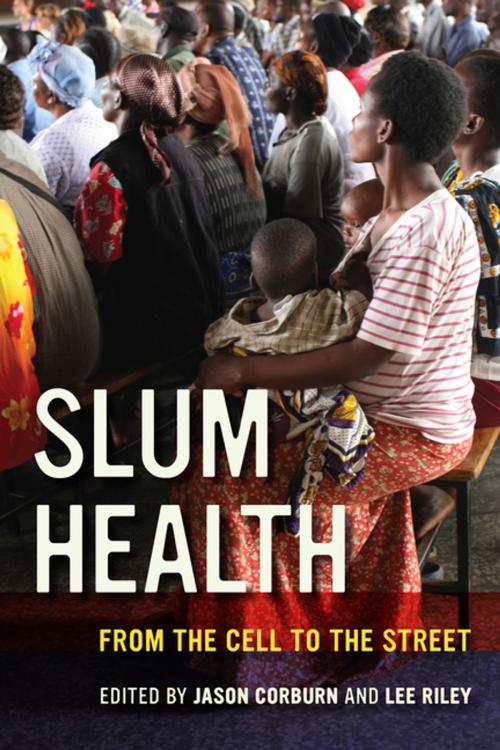 Cover of the book Slum Health by , University of California Press