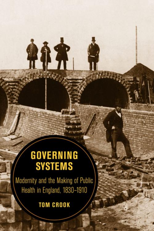Cover of the book Governing Systems by Tom Crook, University of California Press