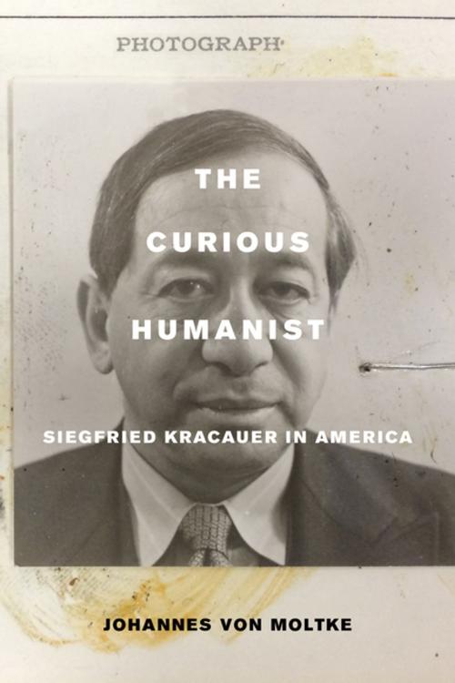 Cover of the book The Curious Humanist by Johannes von Moltke, University of California Press