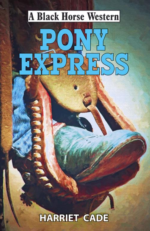 Cover of the book Pony Express by Harriet Cade, Robert Hale