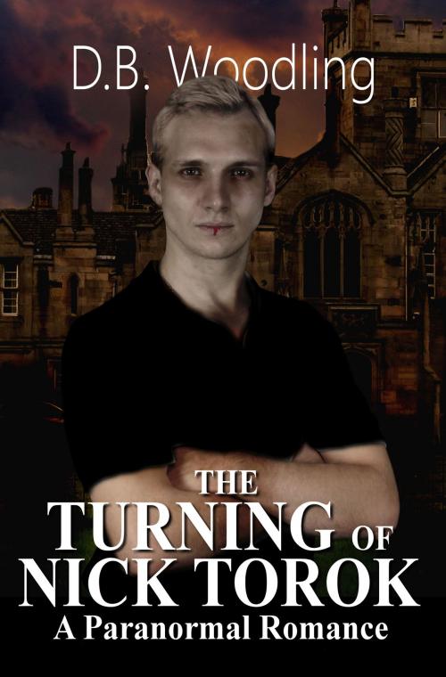 Cover of the book The Turning of Nick Torok by D.B. Woodling, SynergEbooks