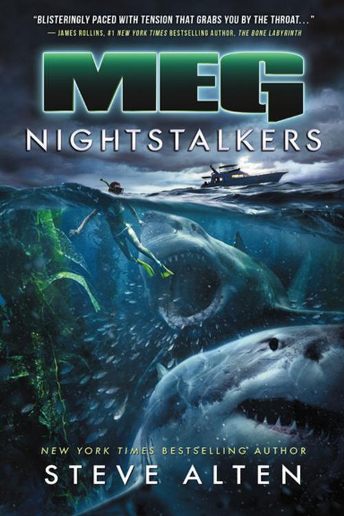 Cover of the book MEG: Nightstalkers by Steve Alten, Tom Doherty Associates