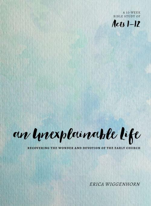 Cover of the book An Unexplainable Life by Erica Wiggenhorn, Moody Publishers