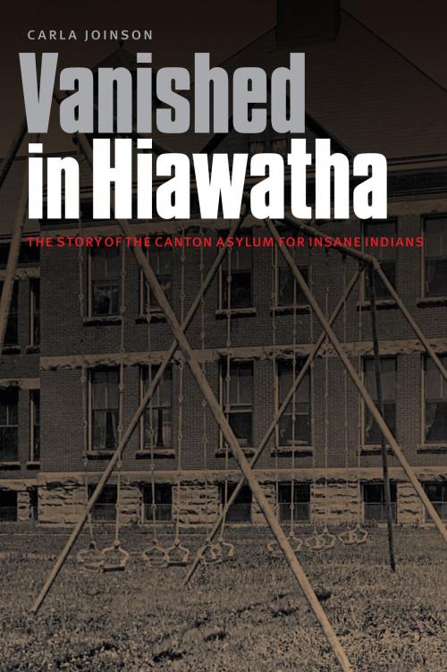 Cover of the book Vanished in Hiawatha by Carla Joinson, UNP - Bison Books