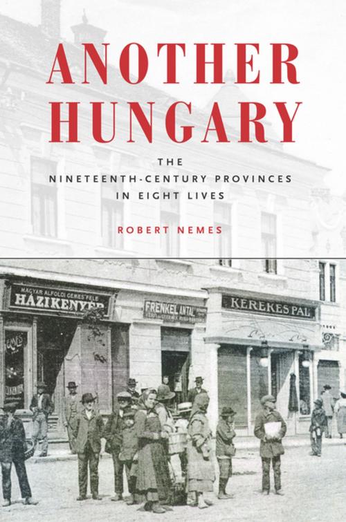 Cover of the book Another Hungary by Robert Nemes, Stanford University Press