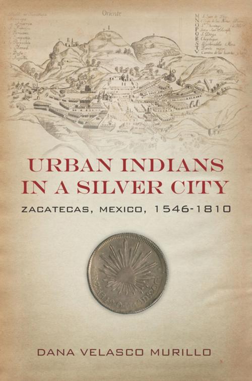 Cover of the book Urban Indians in a Silver City by Dana Velasco Murillo, Stanford University Press