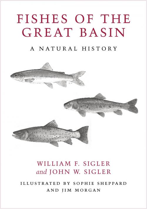 Cover of the book Fishes of the Great Basin by John W. Sigler, John W. Sigler, University of Nevada Press