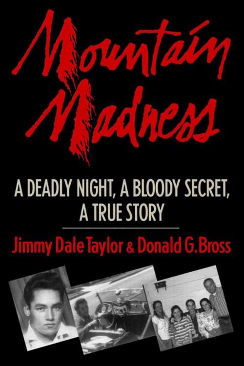 Cover of the book Mountain Madness by Jimmy Dale Taylor, Donald G. Bross, New Horizon Press