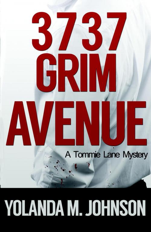 Cover of the book 3737 Grim Avenue by Yolanda M. Johnson, Literary Wonders Media Group