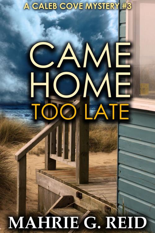 Cover of the book Came Home Too Late by Mahrie G. Reid, Jak-Win Books