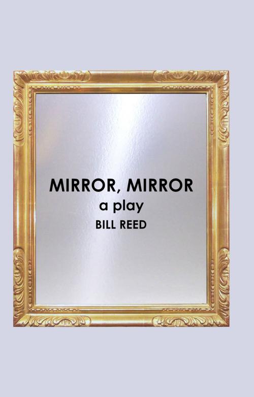 Cover of the book Mirror, Mirror by Bill Reed, Reed Independent