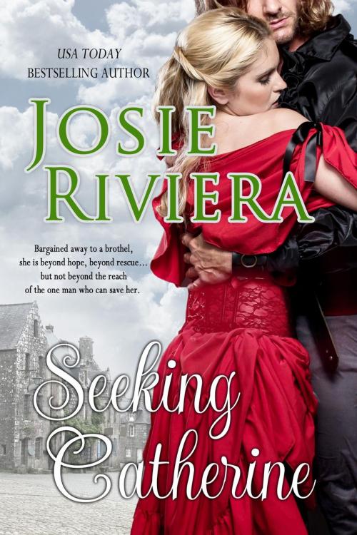Cover of the book Seeking Catherine by Josie Riviera, Josie Riviera