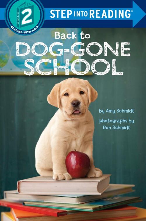 Cover of the book Back to Dog-Gone School by Amy Schmidt, Random House Children's Books