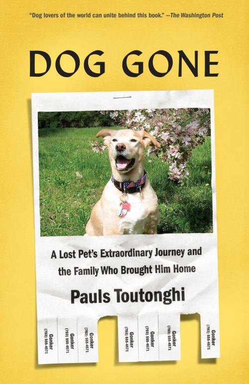 Cover of the book Dog Gone by Pauls Toutonghi, Knopf Doubleday Publishing Group