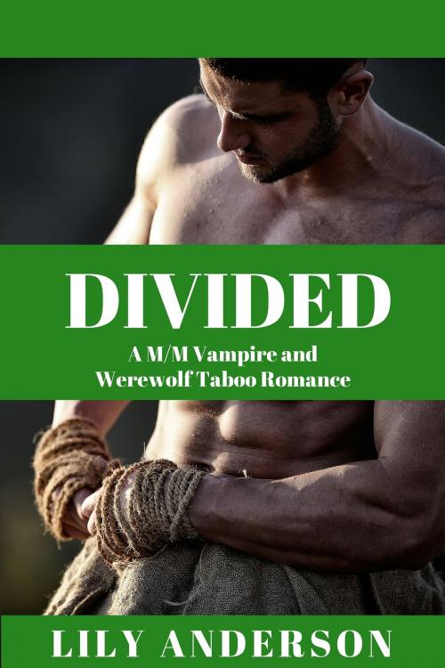 Cover of the book DIVIDED: A M/M Vampire and Werewolf Taboo Romance by Lily Anderson, Lily Anderson