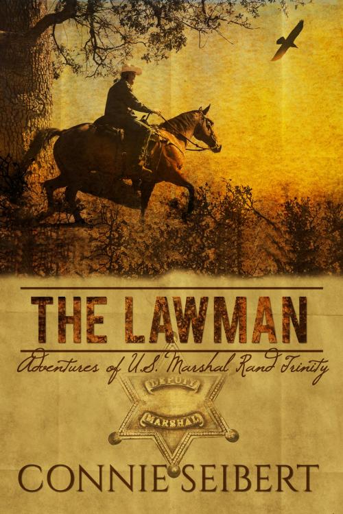 Cover of the book The Lawman by Connie Seibert, Connie Seibert