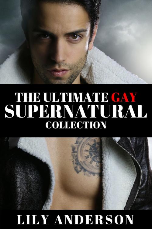 Cover of the book The Ultimate Gay Supernatural Collection by Lily Anderson, Lily Anderson