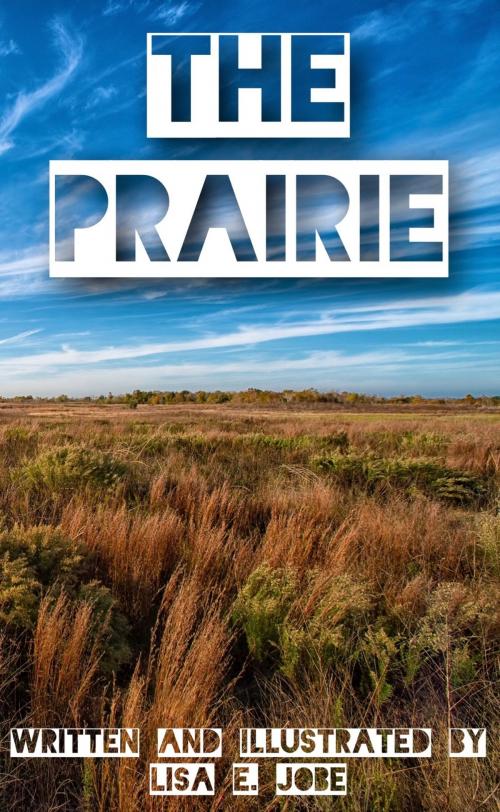 Cover of the book The Prairie by Lisa E. Jobe, Lisa E. Jobe