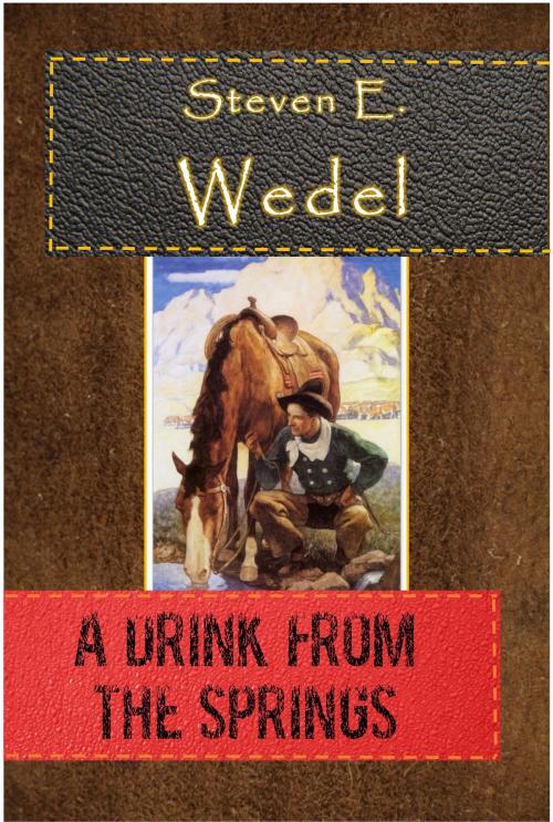 Cover of the book A Drink from the Springs by Steven E. Wedel, Steven E. Wedel