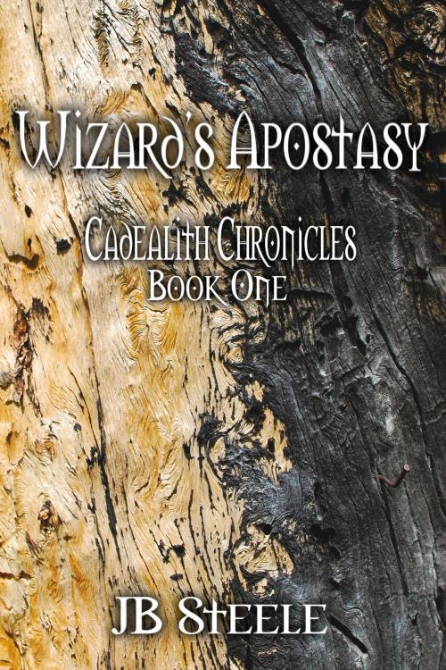Cover of the book Wizard's Apostasy by JB Steele, JB Steele