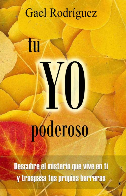 Cover of the book Tu YO Poderoso by Gael Rodríguez, Gael Rodríguez