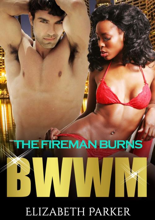 Cover of the book The Fireman Burns by Elizabeth Parker, Nancy Kelsey