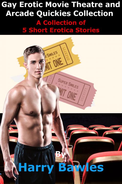 Cover of the book Gay Erotic Movie Theatre and Arcade Quickies Collection by Harry Bawles, Dream Janus