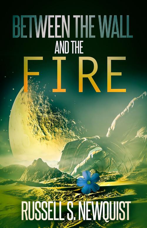 Cover of the book Between the Wall and the Fire by Russell Newquist, Silver Empire