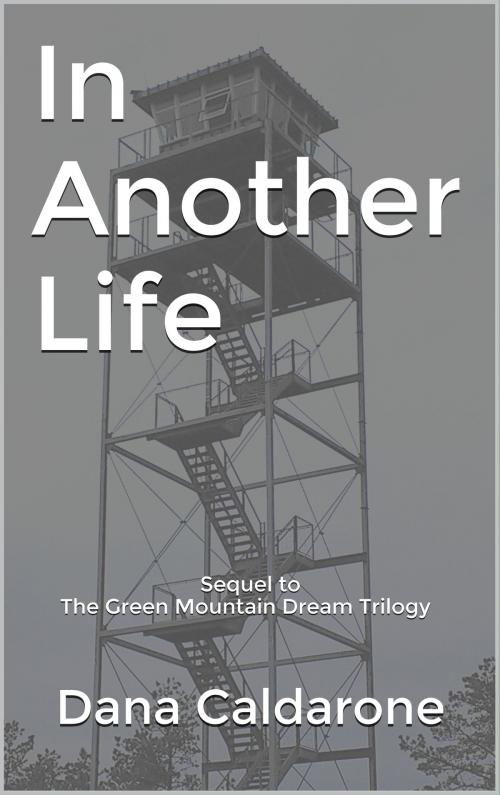 Cover of the book In Another Life by Dana Caldarone, Dana Caldarone