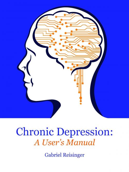 Cover of the book Chronic Depression: A User's Manual by Gabriel Reisinger, Gabriel Reisinger