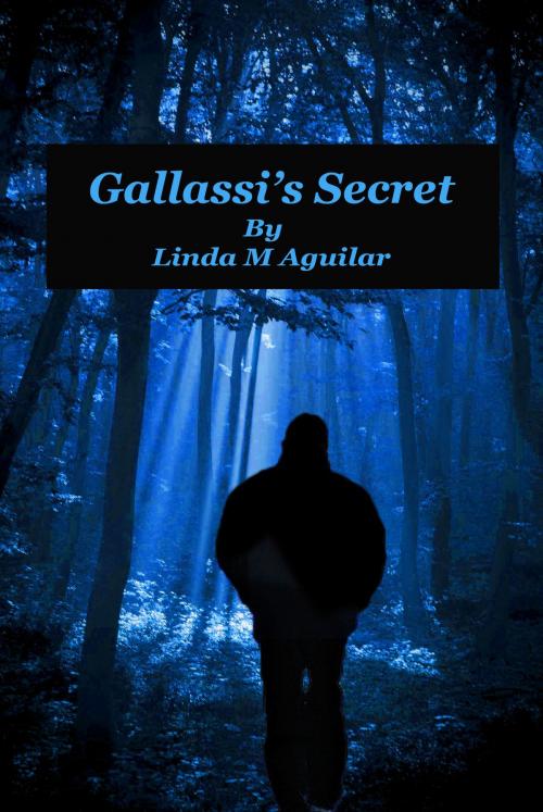 Cover of the book Gallassi's Secret by Linda Aguilar, Linda Aguilar