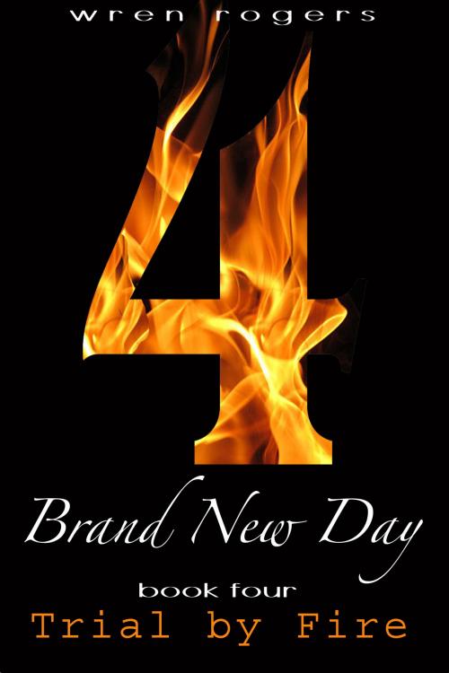 Cover of the book Brand New Day Book 4: Trial By Fire by Wren Rogers, Wren Rogers