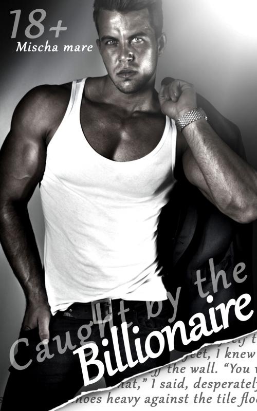 Cover of the book Caught by the Billionaire (Billionaire Lovers, Vol. I) by Audrey Nash, Audrey Nash