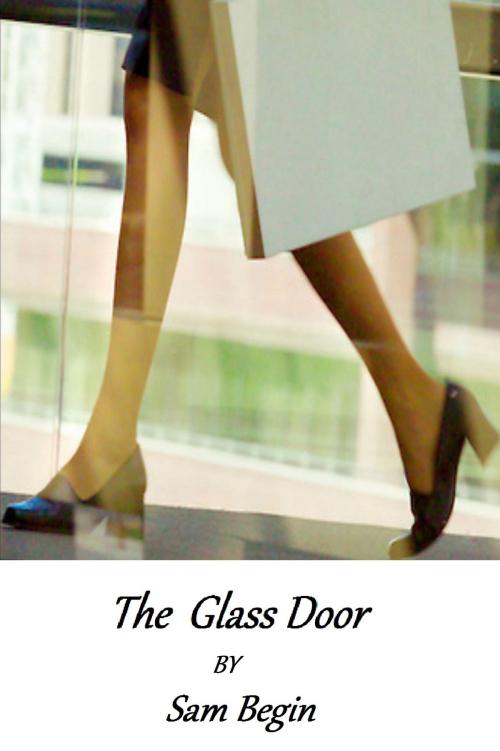 Cover of the book The Glass Door by Sam Begin, Sam Begin