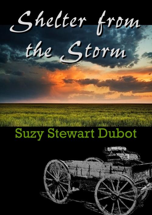 Cover of the book Shelter from the Storm by Suzy Stewart Dubot, Suzy Stewart Dubot