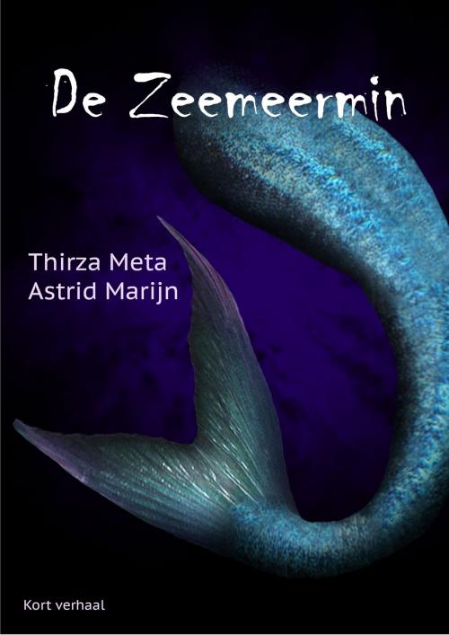 Cover of the book De Zeemeermin by Astrid Marijn, Silhouette