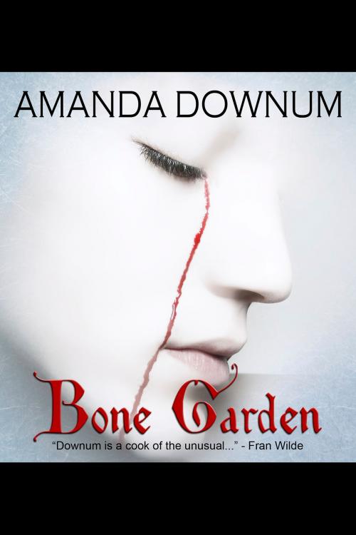 Cover of the book Bone Garden by Amanda Downum, Amanda Downum