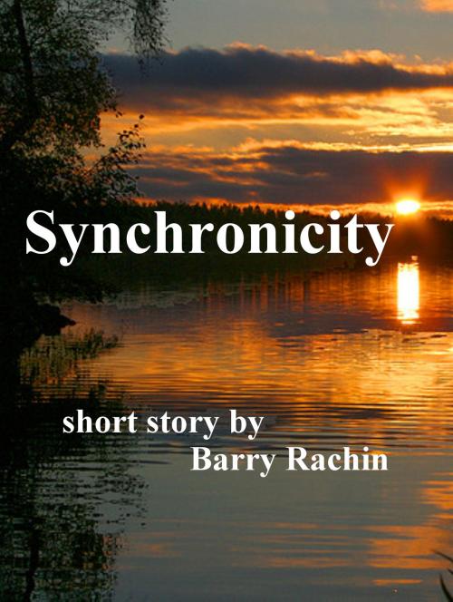Cover of the book Synchronicity by Barry Rachin, Barry Rachin