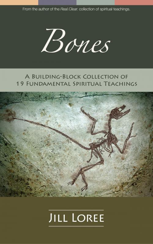 Cover of the book Bones: A Building-Block Collection of 19 Fundamental Spiritual Teachings by Jill Loree, Jill Loree