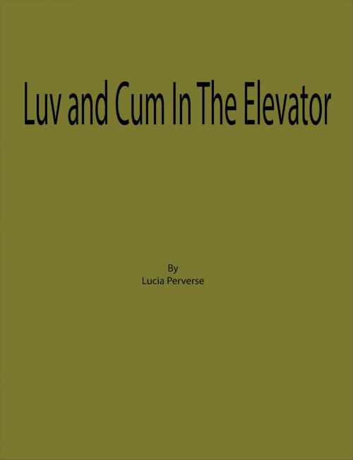 Cover of the book Luv and Cum In The Elevator by Lucia Perverse, Lucia Perverse