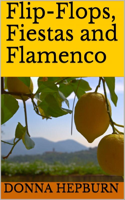 Cover of the book Flip-Flops, Fiestas and Flamenco by Donna Hepburn, Donna Hepburn