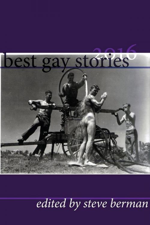 Cover of the book Best Gay Stories 2016 by Steve Berman, Lethe Press