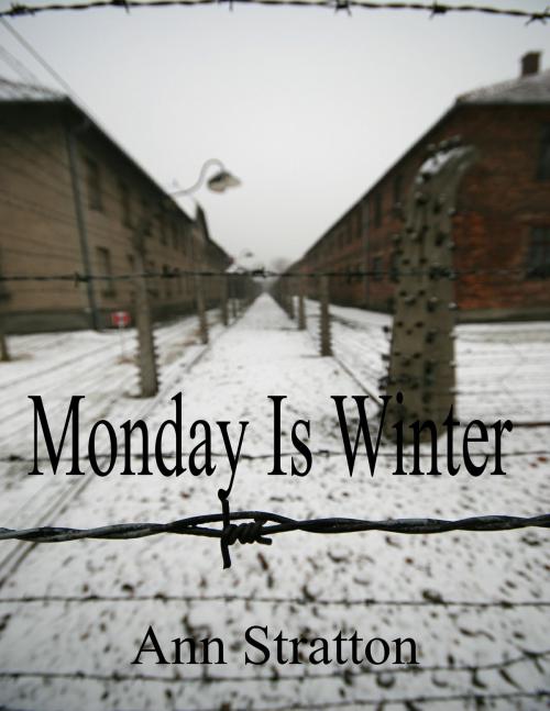 Cover of the book Monday Is Winter by Ann Stratton, Ann Stratton