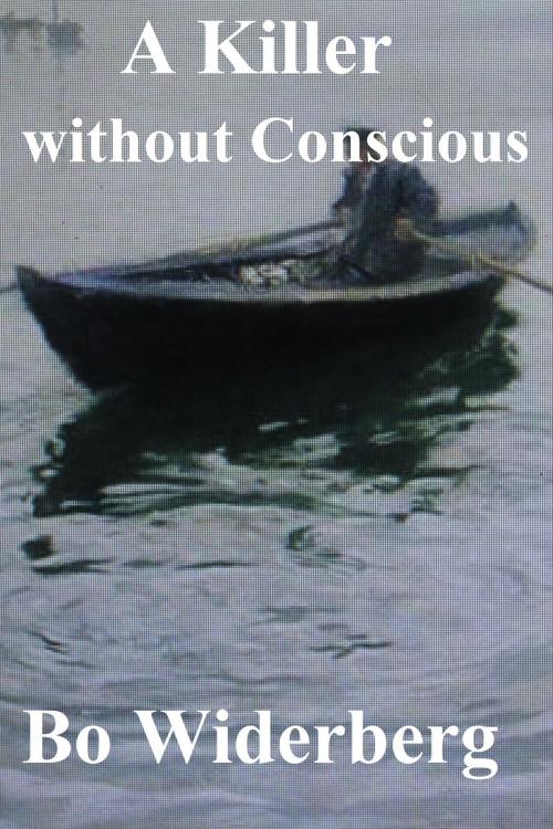 Cover of the book A Killer without Conscious by Bo Widerberg, Bo Widerberg