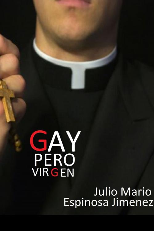 Cover of the book Gay pero virgen by Julio Mario Espinosa Jimenez, Julio Mario Espinosa Jimenez