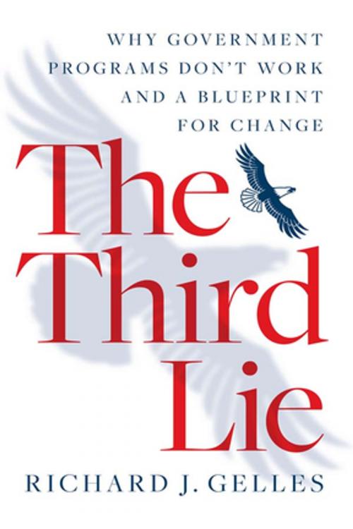 Cover of the book The Third Lie by Richard J Gelles, Taylor and Francis